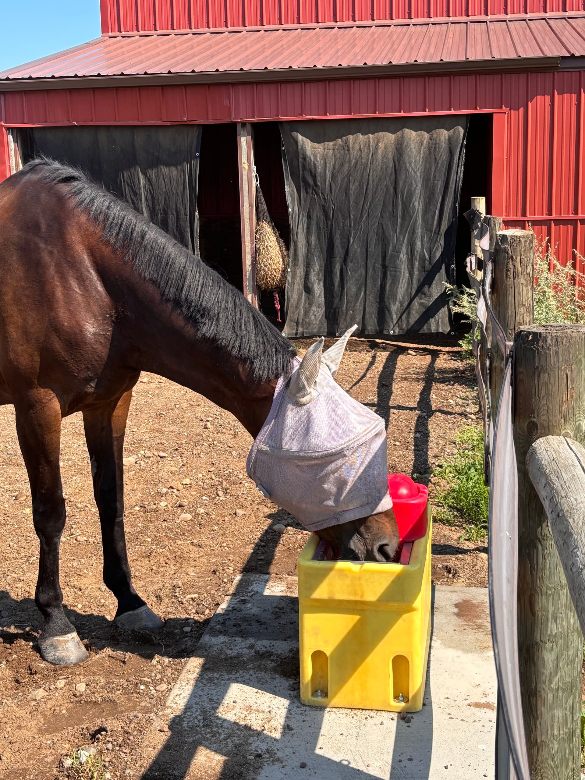 Gallery photos for Davis Dirt Works LLC Keeps Horses Hydrated Year-Round with Ritchie Troughs: Image #1