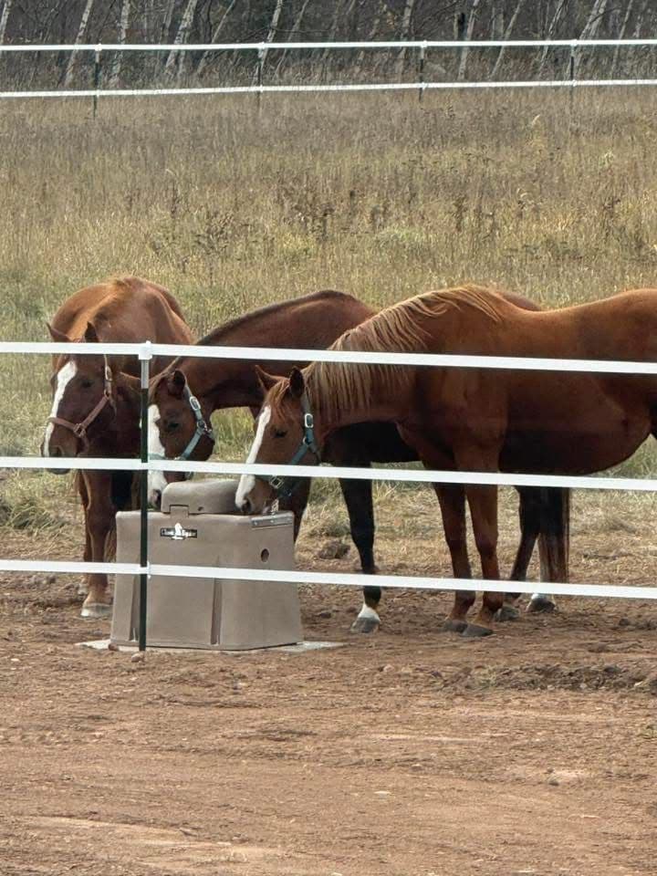 Davis Dirt Works LLC Keeps Horses Hydrated Year-Round with Ritchie Troughs image