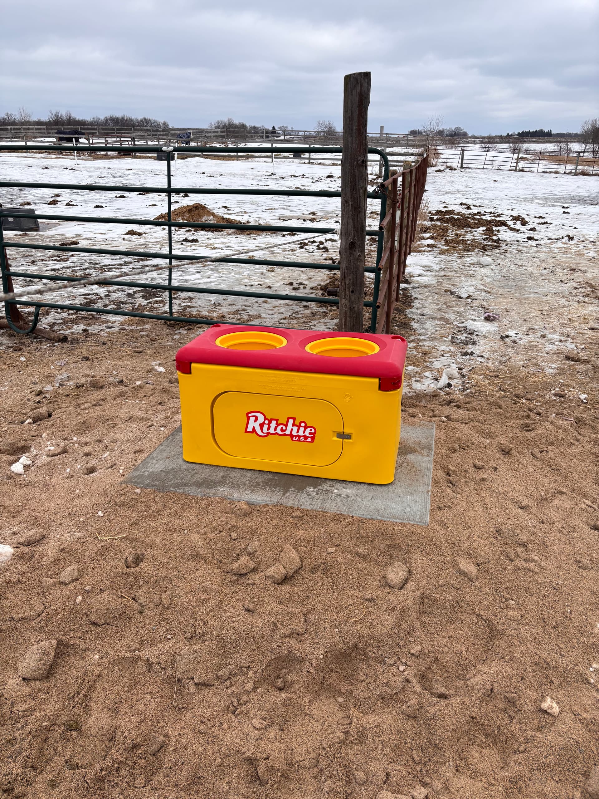 New Ecofount 2 Waterer Installed at Wildfire Farms image