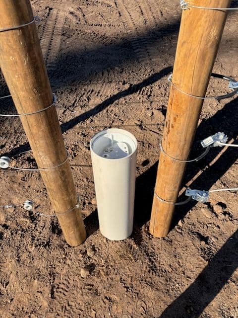 Enhanced Horse Hydration in Hugo MN image