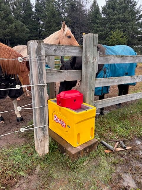 Gallery photos for Enhanced Horse Hydration in Hugo MN: Image #2