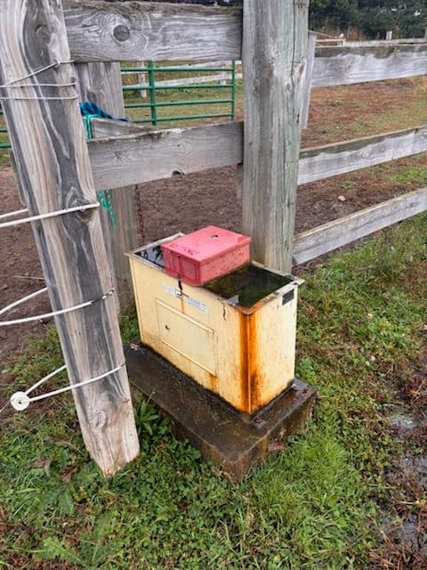 Gallery photos for Enhanced Horse Hydration in Hugo MN: Image #3