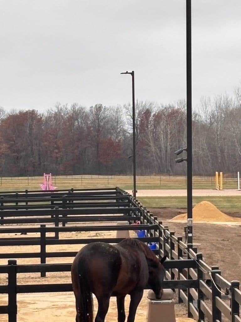 Horse Barn Enhanced with New Classic Equine Ritchie Waterers in Isanti image