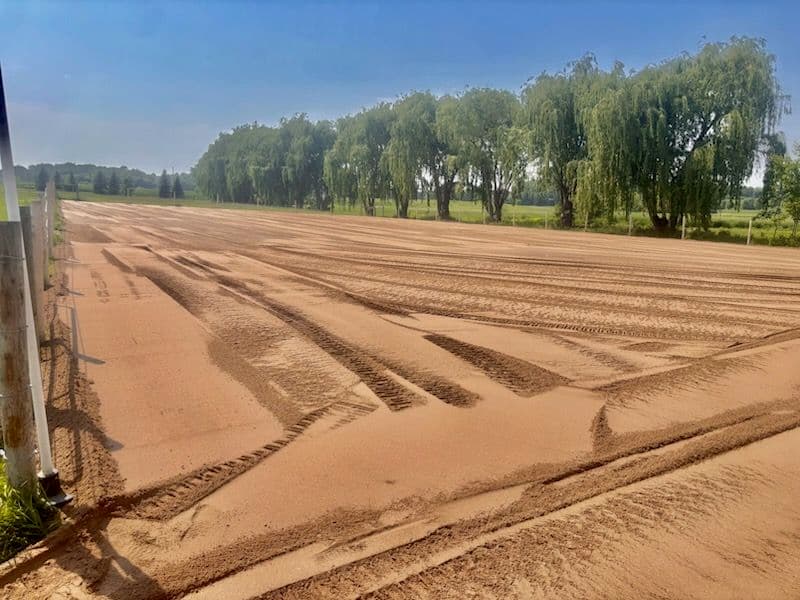 Expert Custom Grading for Ideal Riding Arena image