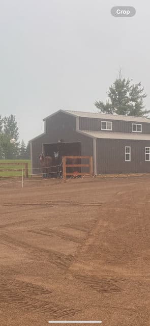Gallery photos for Premier Equestrian Arena Ready for Riding: Image #2